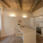 18th Century Baroque Apartmán Praha
